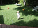 IMG 1753